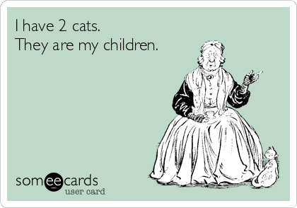 I have 2 cats.
They are my children.