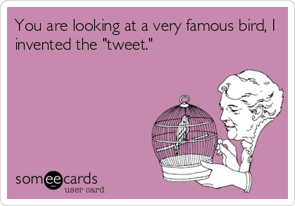 You are looking at a very famous bird, I
invented the "tweet."