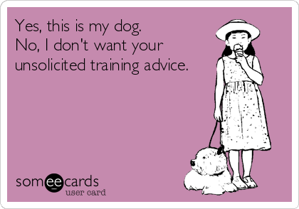 Yes, this is my dog.
No, I don't want your
unsolicited training advice.