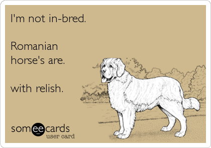 I'm not in-bred.

Romanian
horse's are.

with relish.