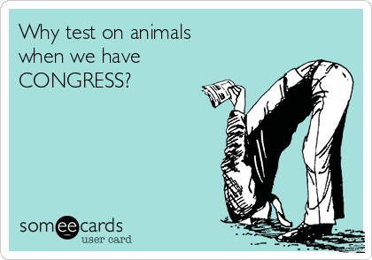 Why test on animals 
when we have 
CONGRESS?