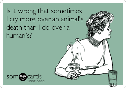 Is it wrong that sometimes
I cry more over an animal's
death than I do over a
human's?