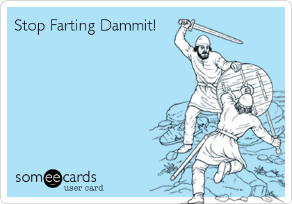 Stop Farting Dammit!