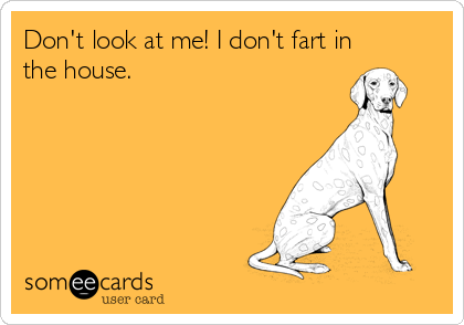 Don't look at me! I don't fart in
the house.