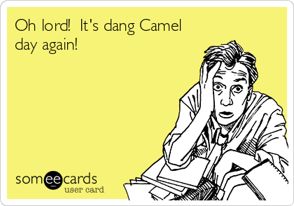 Oh lord!  It's dang Camel
day again!