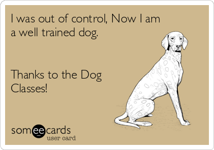 I was out of control, Now I am
a well trained dog.


Thanks to the Dog
Classes!