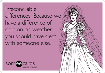 Irreconcilable
differences. Because we
have a difference of
opinion on weather
you should have slept
with someone else.