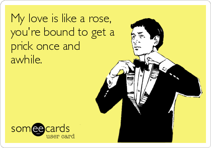 My love is like a rose,
you're bound to get a
prick once and
awhile.