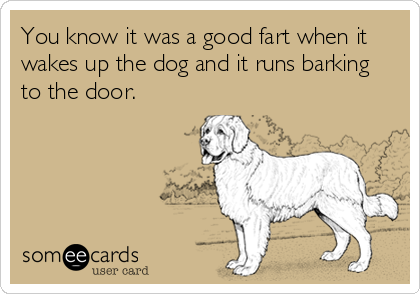 You know it was a good fart when it
wakes up the dog and it runs barking 
to the door.