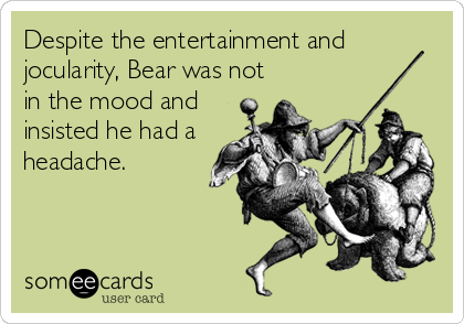 Despite the entertainment and
jocularity, Bear was not
in the mood and
insisted he had a
headache.
