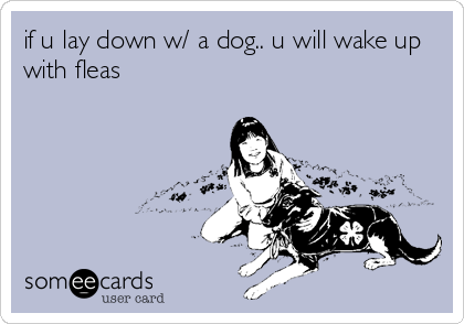 if u lay down w/ a dog.. u will wake up
with fleas