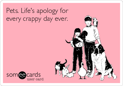 Pets. Life's apology for
every crappy day ever.