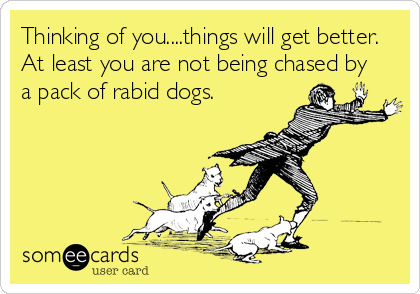 Thinking of you....things will get better. 
At least you are not being chased by
a pack of rabid dogs.