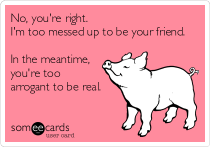 No, you're right.
I'm too messed up to be your friend.

In the meantime,
you're too 
arrogant to be real.