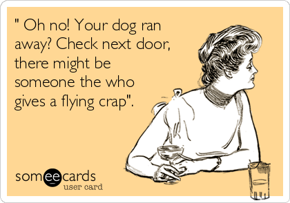 " Oh no! Your dog ran
away? Check next door,
there might be
someone the who
gives a flying crap".