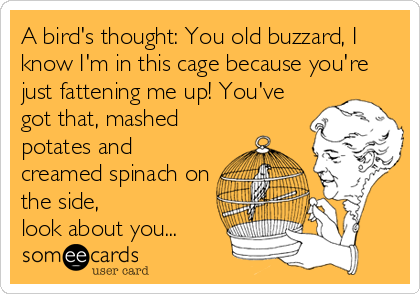 A bird's thought: You old buzzard, I
know I'm in this cage because you're
just fattening me up! You've
got that, mashed
potates and
creamed spin