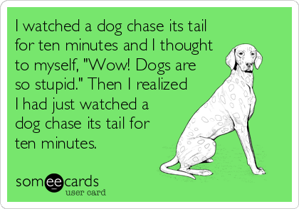 I watched a dog chase its tail
for ten minutes and I thought
to myself, "Wow! Dogs are
so stupid." Then I realized
I had just watched a
dog chase its tail for
ten minutes.