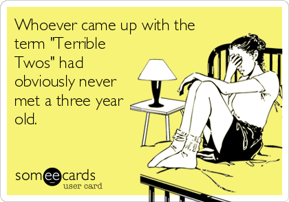 Whoever came up with the
term "Terrible
Twos" had
obviously never
met a three year
old.