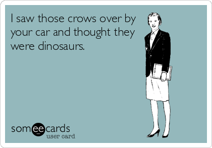 I saw those crows over by
your car and thought they
were dinosaurs.