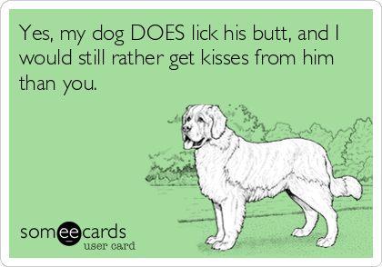 Yes, my dog DOES lick his butt, and I
would still rather get kisses from him
than you.
