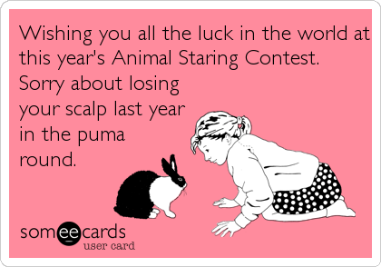 Wishing you all the luck in the world at
this year's Animal Staring Contest.
Sorry about losing
your scalp last year
in the puma 
round.