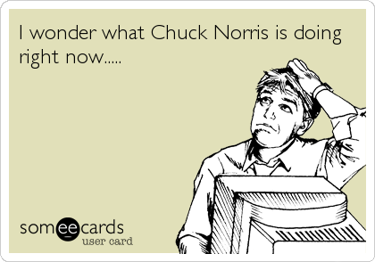 I wonder what Chuck Norris is doing
right now.....