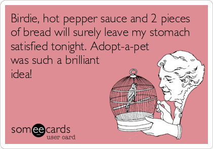Birdie, hot pepper sauce and 2 pieces
of bread will surely leave my stomach
satisfied tonight. Adopt-a-pet
was such a brilliant
idea!