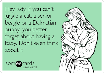 Hey lady, if you can't
juggle a cat, a senior
beagle or a Dalmatian
puppy, you better
forget about having a
baby. Don't even think
about it