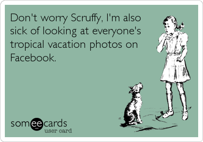 Don't worry Scruffy, I'm also
sick of looking at everyone's
tropical vacation photos on
Facebook.