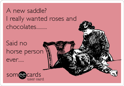 A new saddle? 
I really wanted roses and
chocolates.........

Said no
horse person
ever.....
