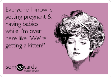 Everyone I know is
getting pregnant &
having babies
while I'm over
here like "We're
getting a kitten!"