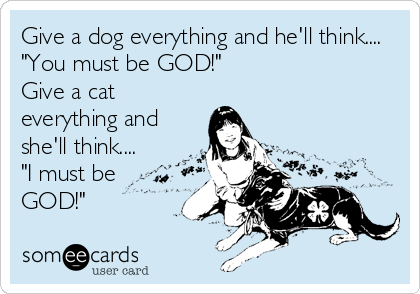 Give a dog everything and he'll think....
"You must be GOD!"
Give a cat
everything and
she'll think....
"I must be
GOD!"