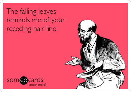 The falling leaves
reminds me of your
receding hair line.