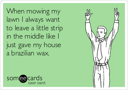 When mowing my 
lawn I always want 
to leave a little strip 
in the middle like I 
just gave my house 
a brazilian wax.