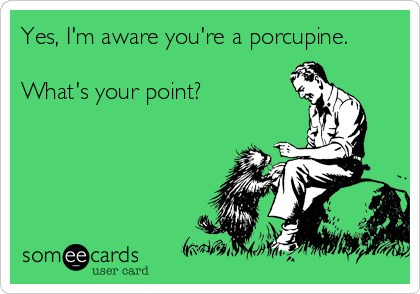 Yes, I'm aware you're a porcupine.

What's your point?