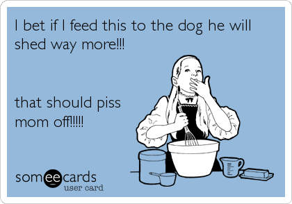 I bet if I feed this to the dog he will
shed way more!!!


that should piss
mom off!!!!!