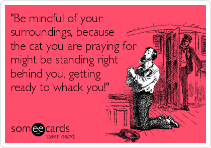 "Be mindful of your
surroundings, because
the cat you are praying for
might be standing right
behind you, getting
ready to whack you!"