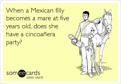 When a Mexican filly
becomes a mare at five
years old, does she
have a cincoañera
party?
