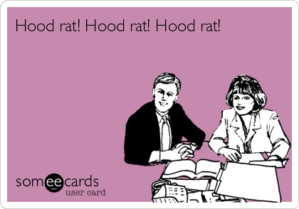 Hood rat! Hood rat! Hood rat!