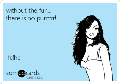 without the fur.....
there is no purrrrr!




-fcfhc