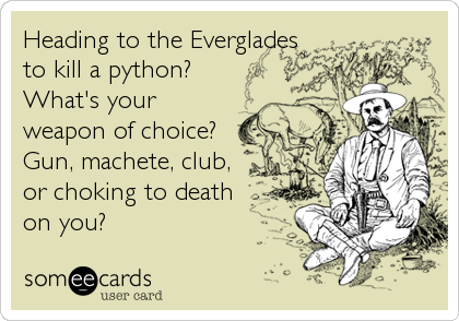 Heading to the Everglades
to kill a python?
What's your
weapon of choice? 
Gun, machete, club, 
or choking to death
on you?