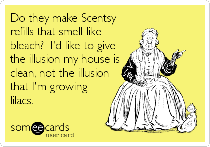 Do they make Scentsy
refills that smell like
bleach?  I'd like to give
the illusion my house is
clean, not the illusion
that I'm growing
lilacs.