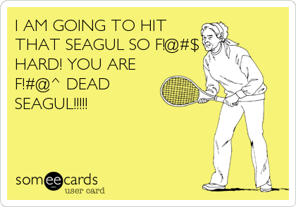 I AM GOING TO HIT
THAT SEAGUL SO F!@#$
HARD! YOU ARE 
F!#@^ DEAD
SEAGUL!!!!!