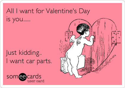 All I want for Valentine's Day
is you......



Just kidding..
I want car parts.