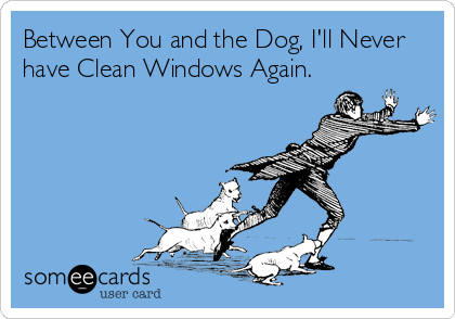 Between You and the Dog, I'll Never
have Clean Windows Again.