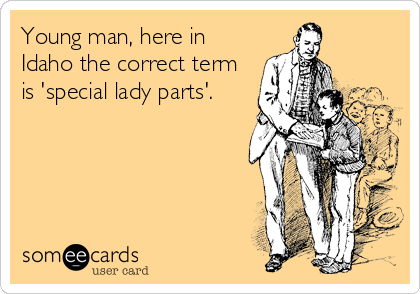 Young man, here in
Idaho the correct term
is 'special lady parts'.