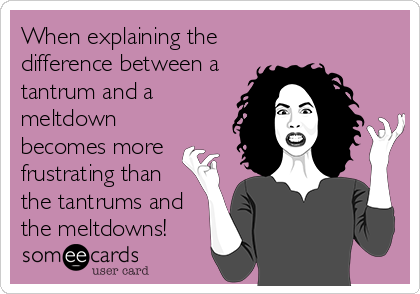 When explaining the
difference between a
tantrum and a
meltdown
becomes more
frustrating than
the tantrums and
the meltdowns!