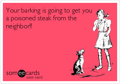 Your barking is going to get you
a poisoned steak from the
neighbor!!