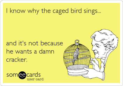 I know why the caged bird sings...



and it's not because
he wants a damn
cracker.