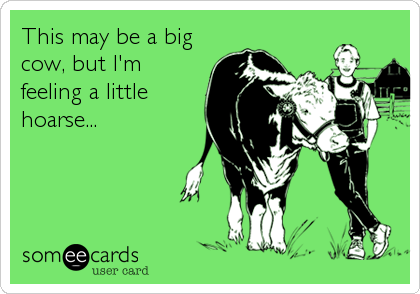 This may be a big
cow, but I'm
feeling a little
hoarse...